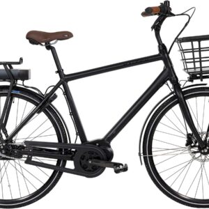 Raleigh Sussex E2 Herre