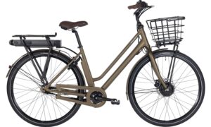 Raleigh Sussex E1 Dame