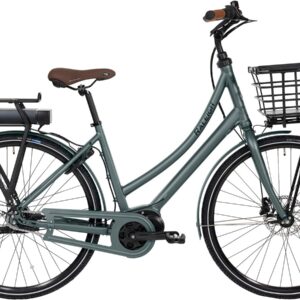 Raleigh Sussex E2